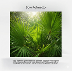 HAİRMD Plus Advanced Hair Saw Palmetto 200 mg 60 Tablet